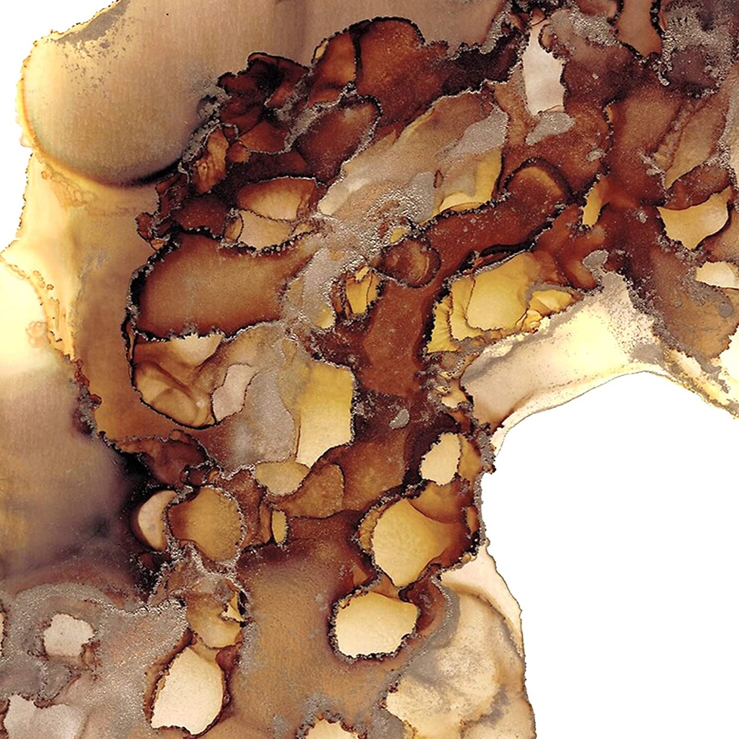 PIXISS Alcohol Ink Set of 5 - Brilliant Brown Hues