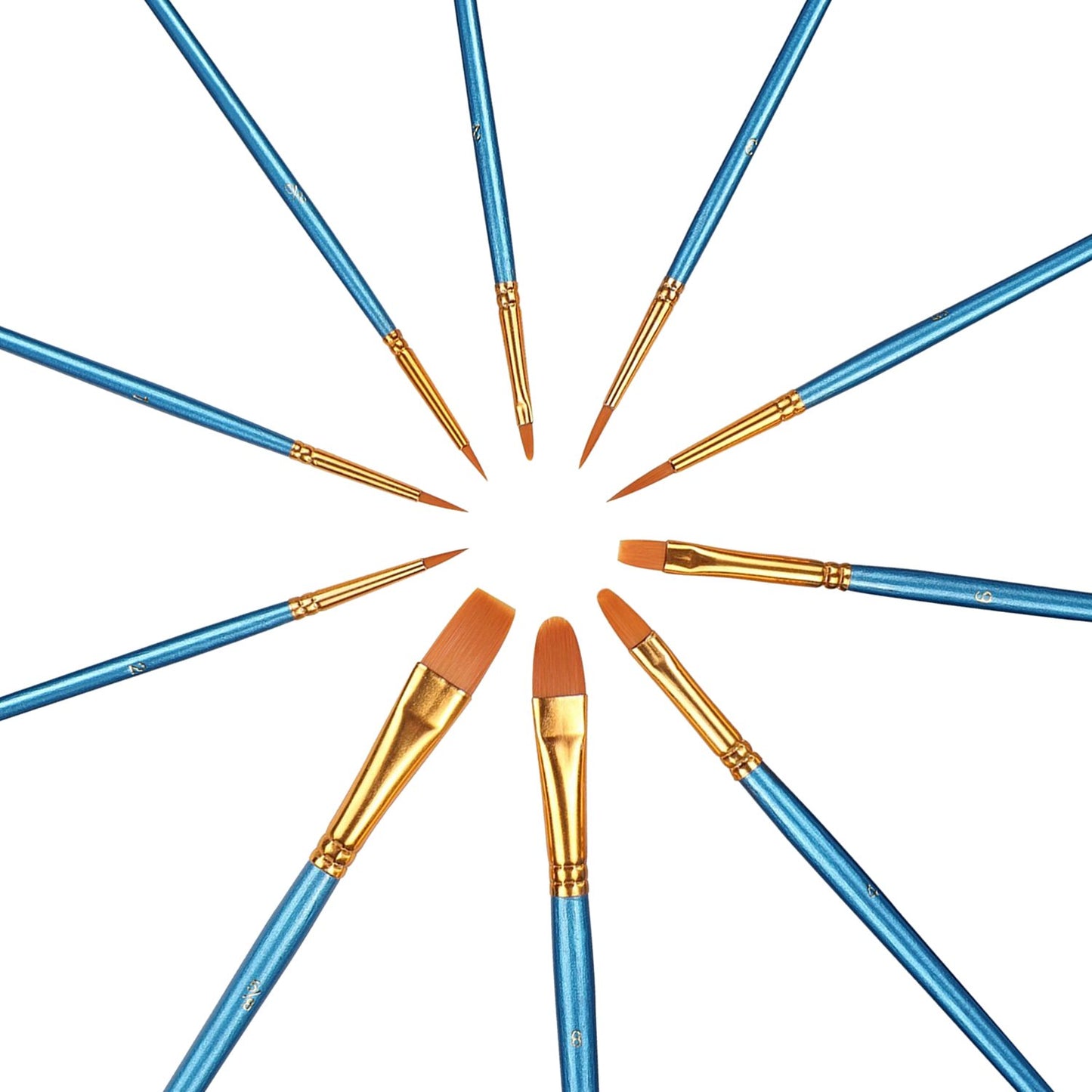 PIXISS Assorted Acrylic Paint Brushes - 10PC