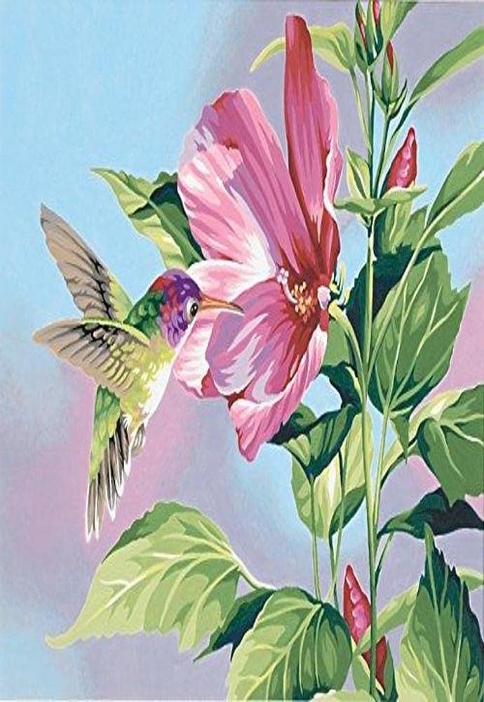 Dimensions Hibiscus Hummingbird Paint by Number for Adults, 14'' W x 11'' L