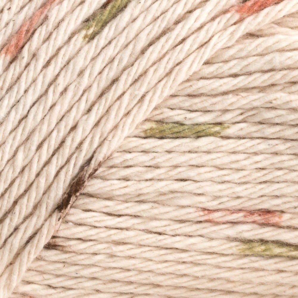 Lily Sugar 'n Cream 100% Cotton Limited Edition Yarn ~ 2-Pack (Sonoma Print #2018)