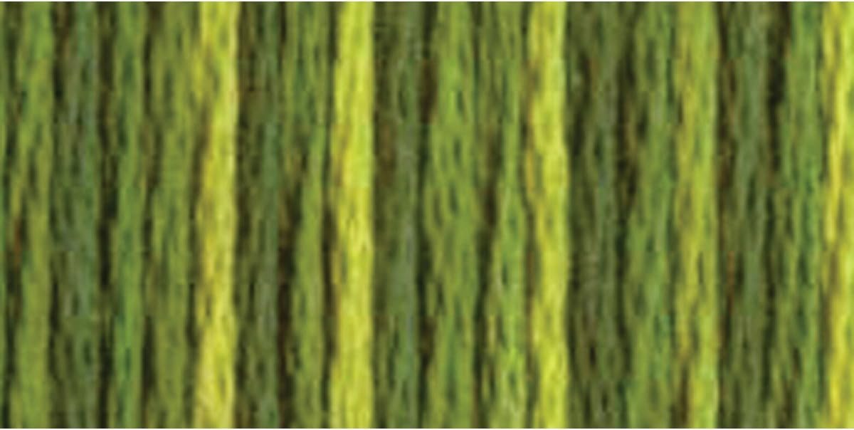 DMC 415 5-4066 Color Variations Pearl Cotton Thread, 27 yd., Size 5, Amazon Moss