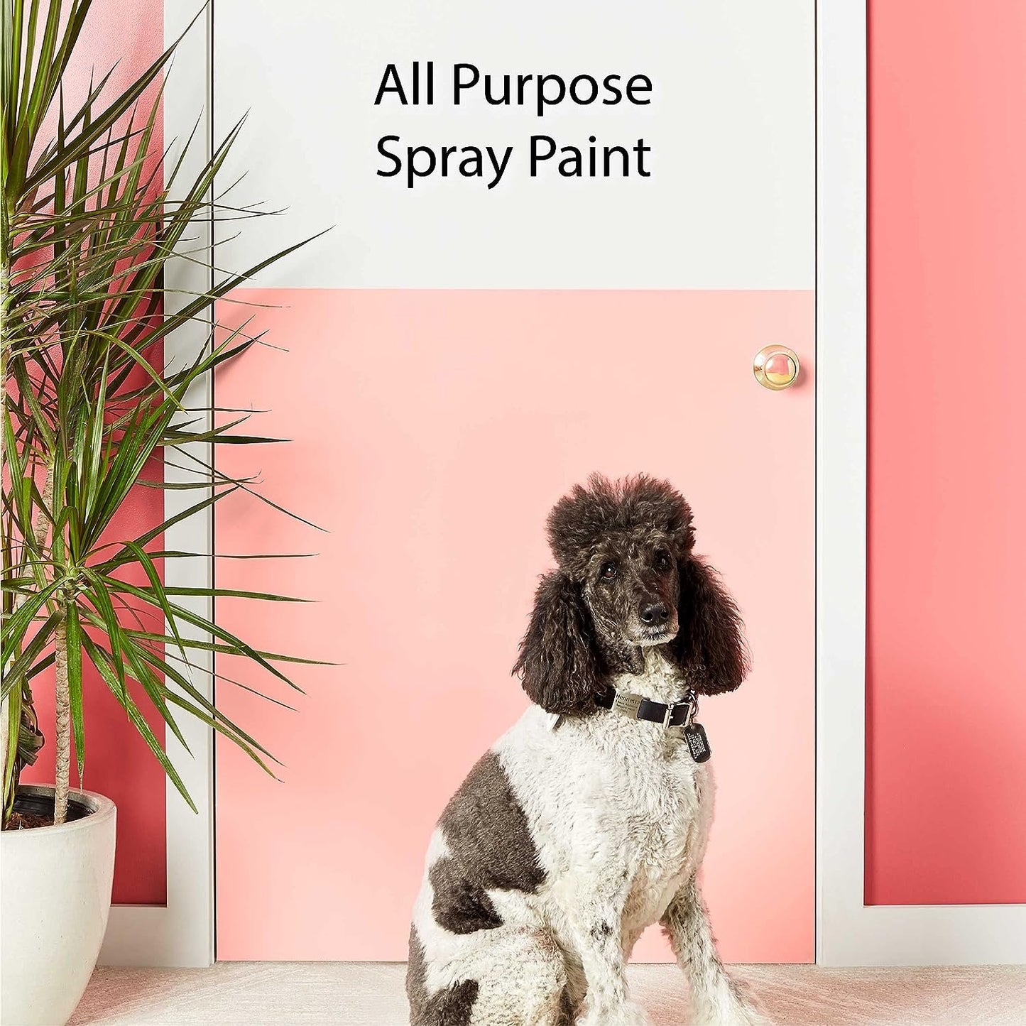 Krylon K05546007 COLORmaxx Spray Paint and Primer for Indoor/Outdoor Use