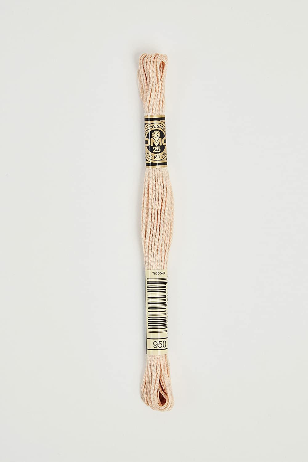 Dmc 6-Strand Embroidery Cotton 8.7yd-Black
