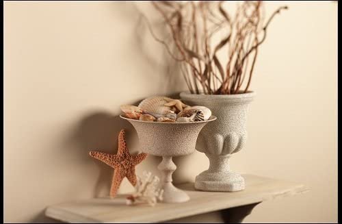 Krylon K18200007 Make It Last Clear Coat Sealer 6 Ounce