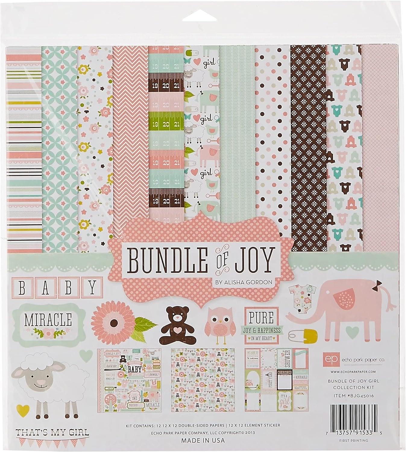 Echo Park Paper Company Echo Park Paper BJG45016 Bundle of Joy Girl Collection Scrapbooking Kit