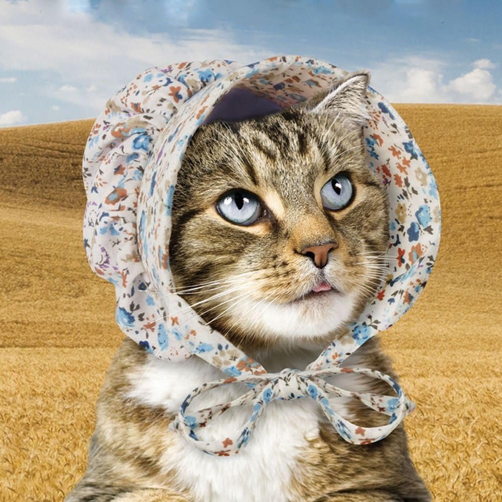 Mcphee Accoutrements Cat Bonnet