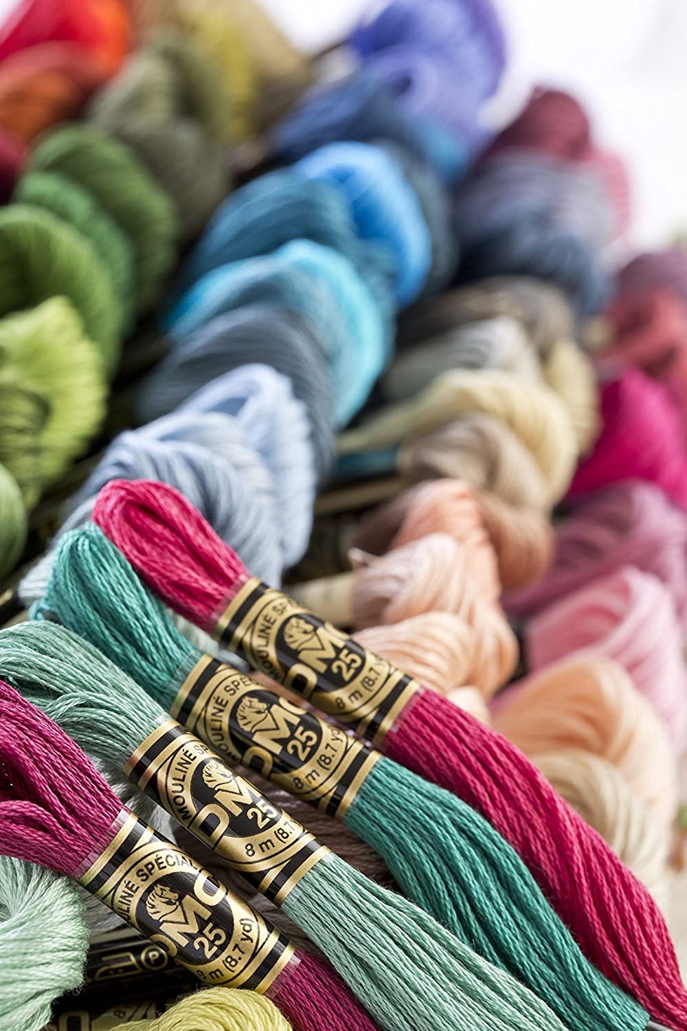 Dmc 6-Strand Embroidery Cotton 8.7yd-Black
