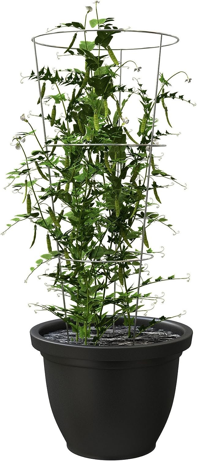 Panacea Products 89723 Tomato and Plant Support Cage,Galvanized, Pack of 10