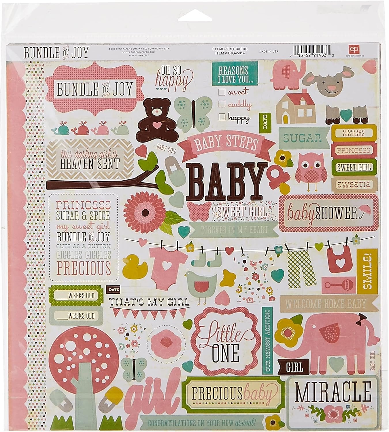 Echo Park Paper Company Echo Park Paper BJG45016 Bundle of Joy Girl Collection Scrapbooking Kit