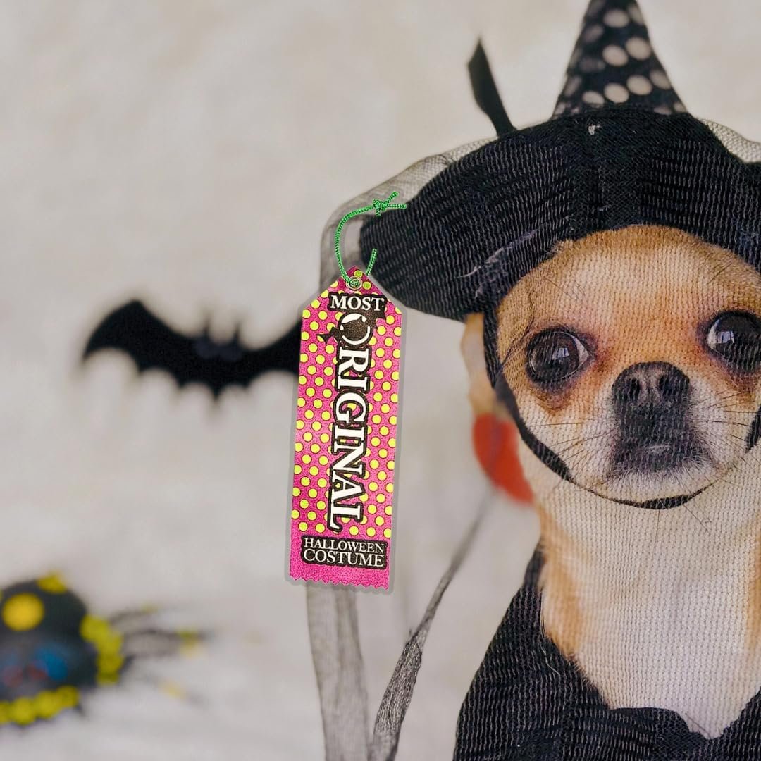 Fun Express Halloween Party Costume Contest Award Prize Ribbons - 12 Pieces