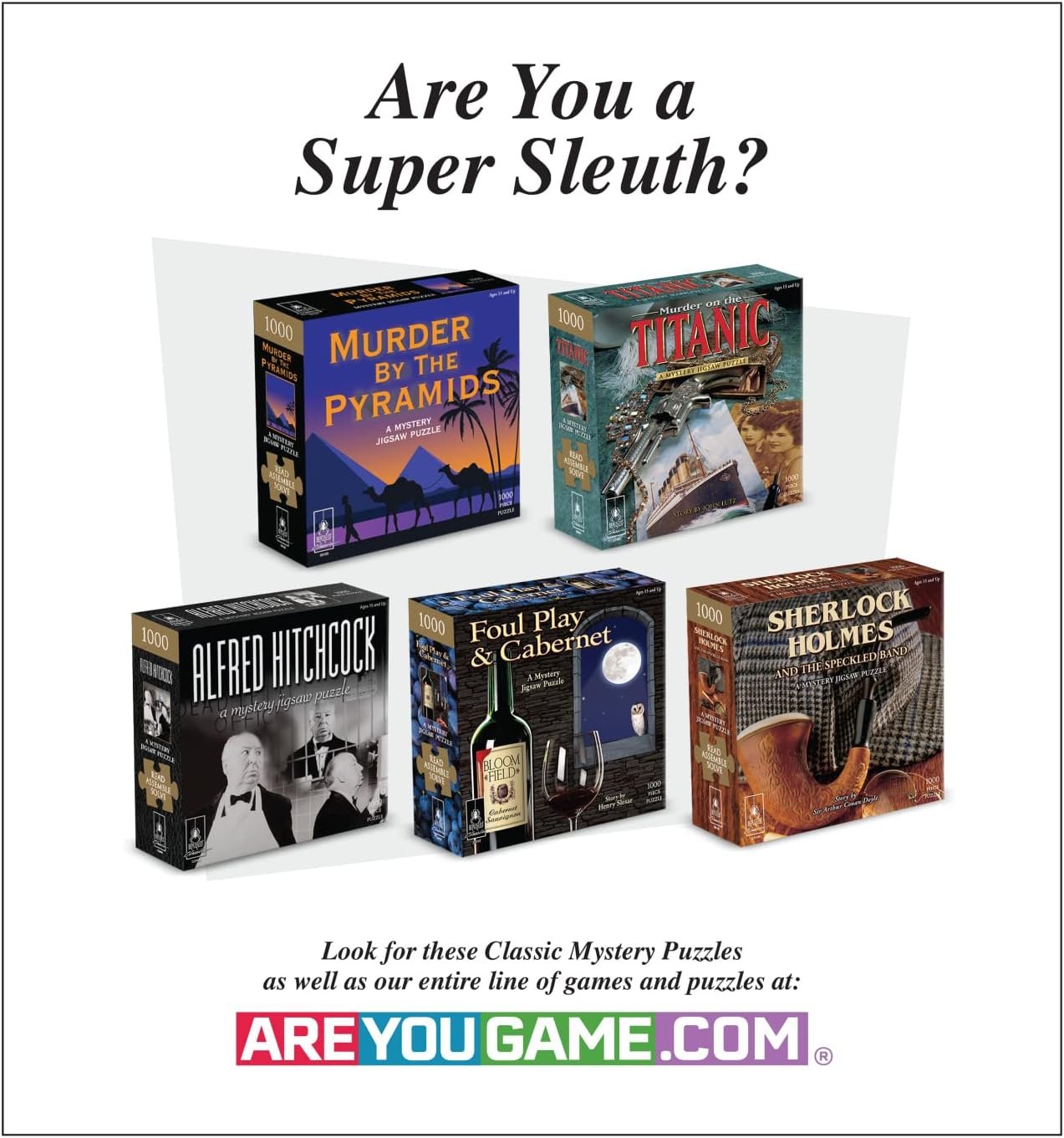 Murder Mystery Party | Classic Mystery Jigsaw Puzzle, Death on The Istanbul Express, 1,000 Piece Jigsaw Puzzle