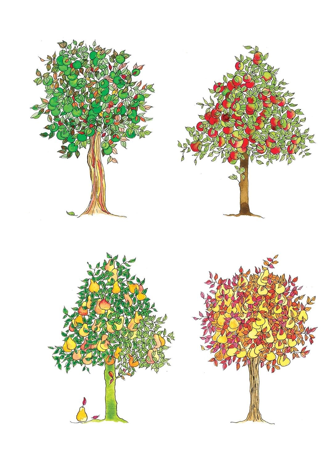 Creative Haven Whimsical Gardens Coloring Book (Adult Coloring Books: Flowers & Plants)