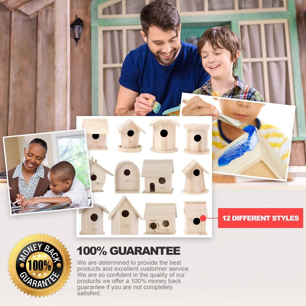 Birdhouse Craft Kit - 4 Assorted Birdhouses