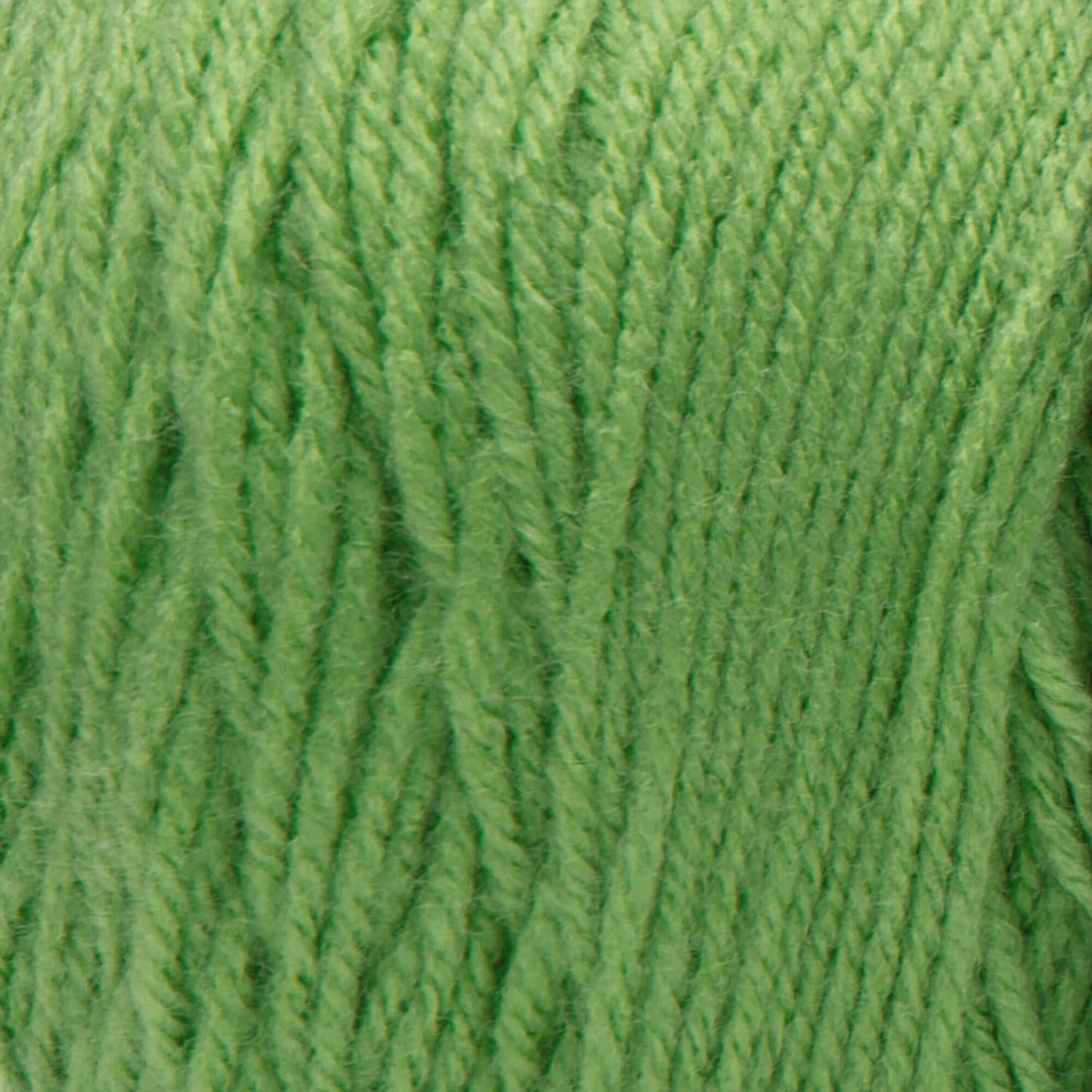RED Heart Super Saver Jumbo Yarn, Paddy Green
