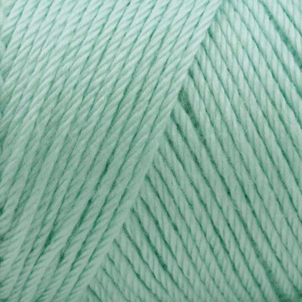 Caron Simply Soft Yarn Solids (3-Pack) Soft Green H97003-9739