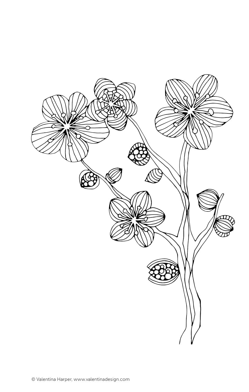 Color Zen Coloring Book: Perfectly Portable Pages (On-the-Go Coloring Book) (Design Originals) Extra-Thick High-Quality Perforated Pages & Convenient 5x8 Size: Take Along to De-Stress Wherever You Go