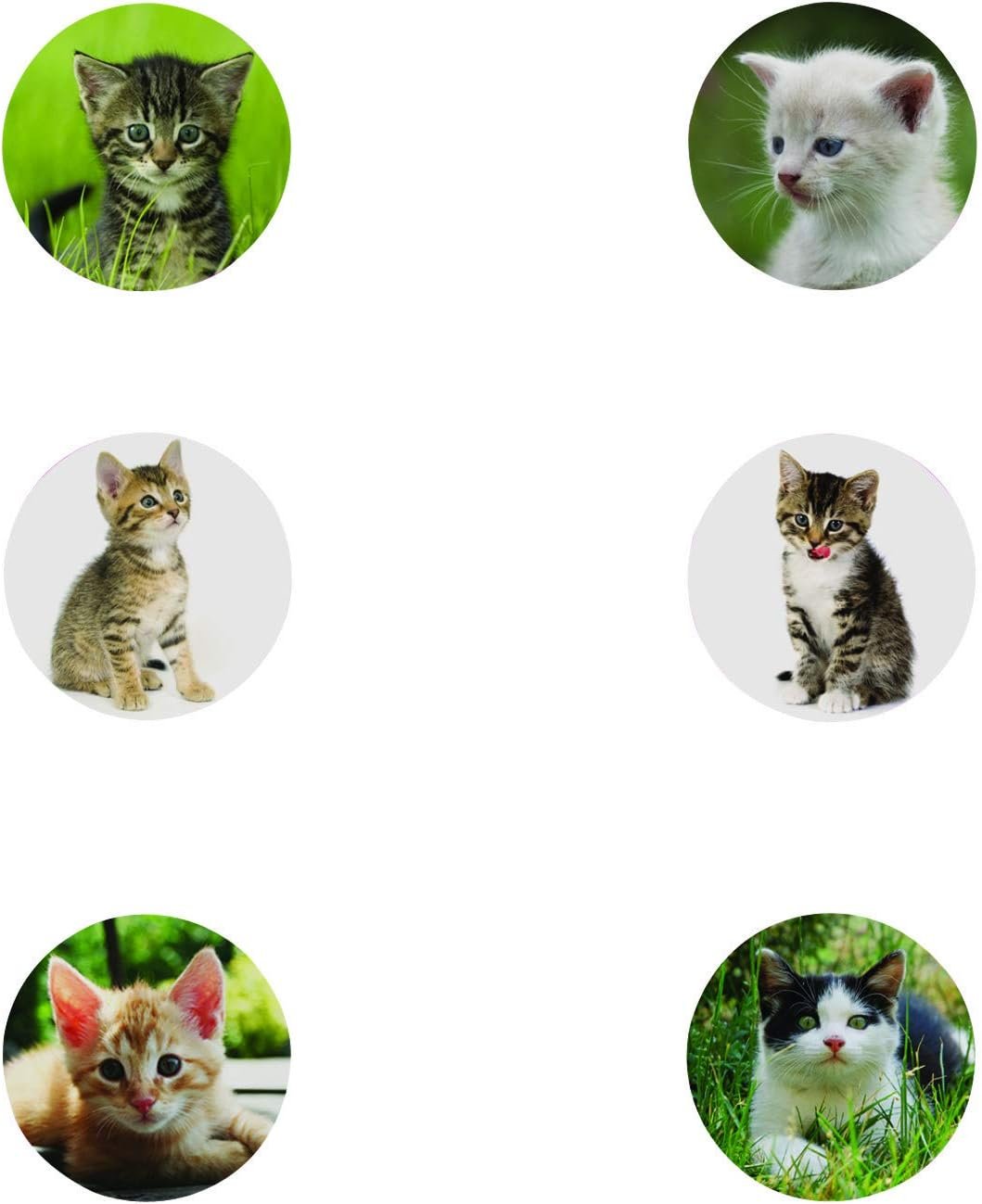 Realistic Cat Stickers (Roll of 100) – 1.5” Round, 6 Cute Photos - Great for Kids, Teachers, Party Favors, Rewards, Craft Projects, Water Bottles, Scrapbooks, Calendars, Planners, and Journals