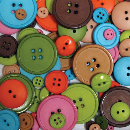 Blumenthal Lansing Company Big Bag of Buttons