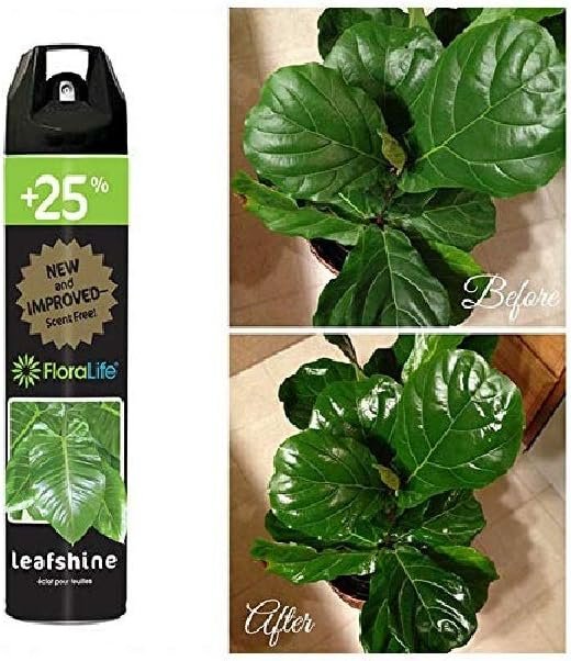 Floralife Leafshine 750ml Scent Free Clear Spray for Plants and Flowers
