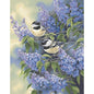 Dimensions PBN 11x14 Chickadees&Lilacs, None