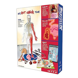 SmartLab QPG Lab for Kids, Squishy Human Body, Grade 3-8