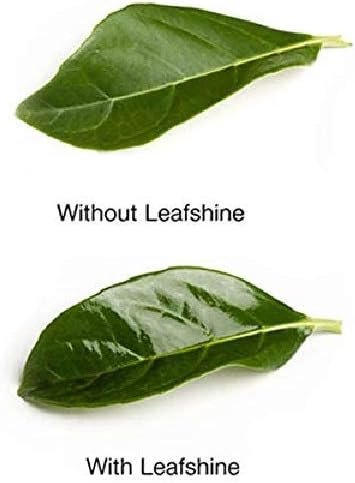 Floralife Leafshine 750ml Scent Free Clear Spray for Plants and Flowers