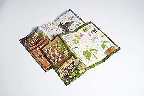 SmartLab Toys Outdoor Science Lab Bugs, Dirt, & Plants with 24 Hands On Nature Activities Science Kit.