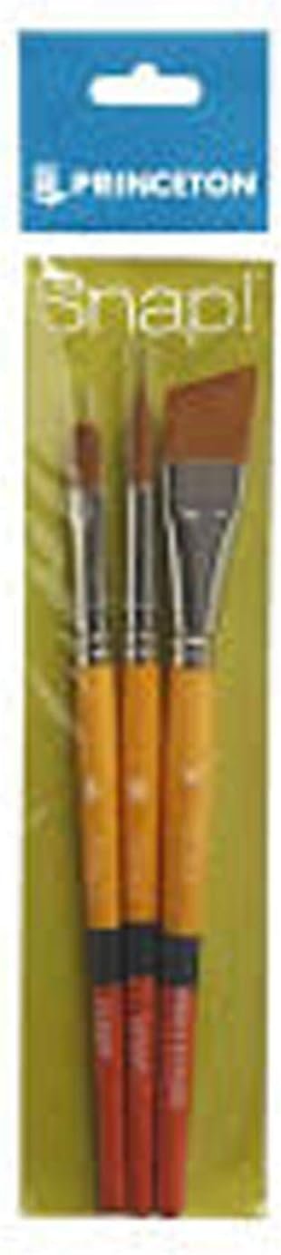Princeton Snap! PAB96521 Snap Brush, FB 8 RND 10 ANG Shader 34", Multicolor