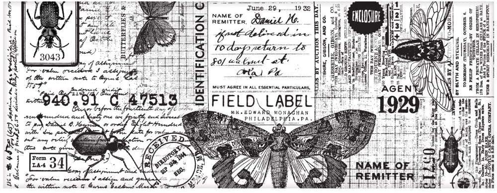 Tim Holtz Idea-Ology Collage Paper Rolls - Entomology, Botanical and Typeset - Bundle of Three Rolls