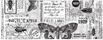 Tim Holtz Idea-Ology Collage Paper Rolls - Entomology, Botanical and Typeset - Bundle of Three Rolls