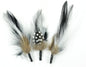 Touch of Nature 3-Piece Feather Pick with Nylon Loop for Arts and Crafts, 5-Inch, Black/White