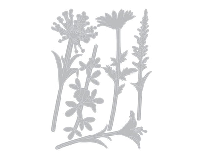 Sizzix Thinlits Die Set , Wildflower Stems #2 by Tim Holtz, 5 Pack, One Size, Multicolor 5 Piece