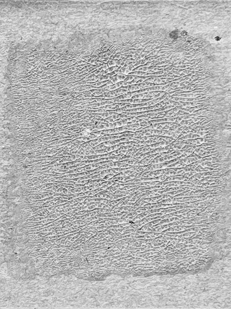 Tim Holtz - Ranger Distress CRCKL Paint TRANSLUCEN, Translucent, 3