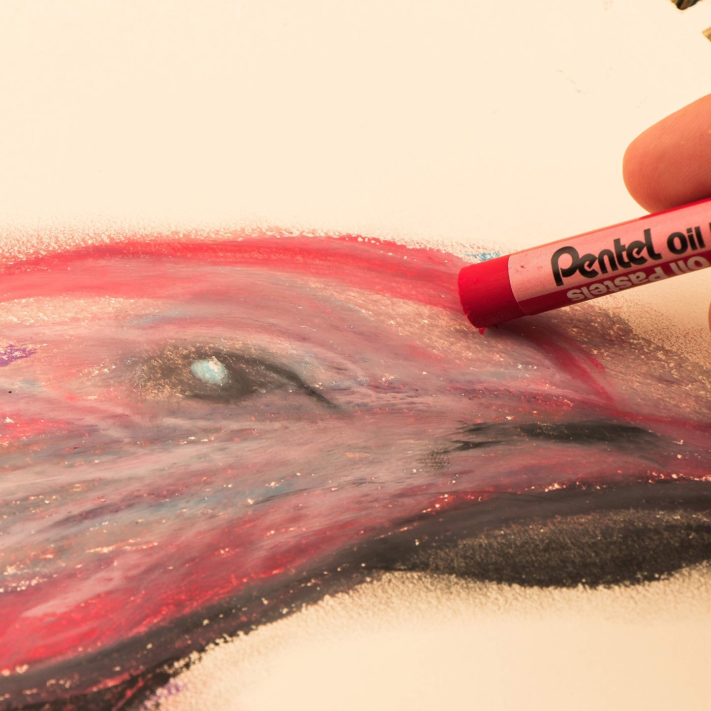 Pentel Arts Oil Pastel Set, 5/16 x 2-7/16 Inch, Assorted Colors, Set of 36