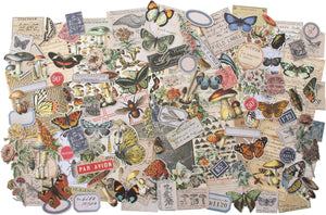 Tim Holtz Advantus Ephemera Pack IDEA-O FIELDNOTES, Field Notes