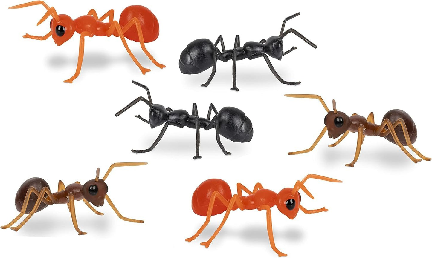 Mcphee Accoutrements Archie Funny Gift Box of Novelty Ants (6 Pack)
