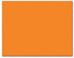 Riverside Paper 54871 Colored 4-ply Poster Board, 22 x 28, 5 Assorted Colors