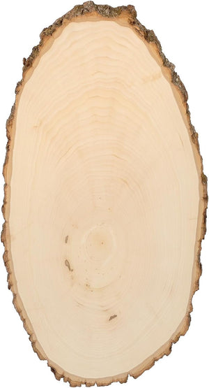 Walnut Hollow Basswood Round Large with Live Edge Wood - for Wood Burning, Home Décor, and Rustic Weddings