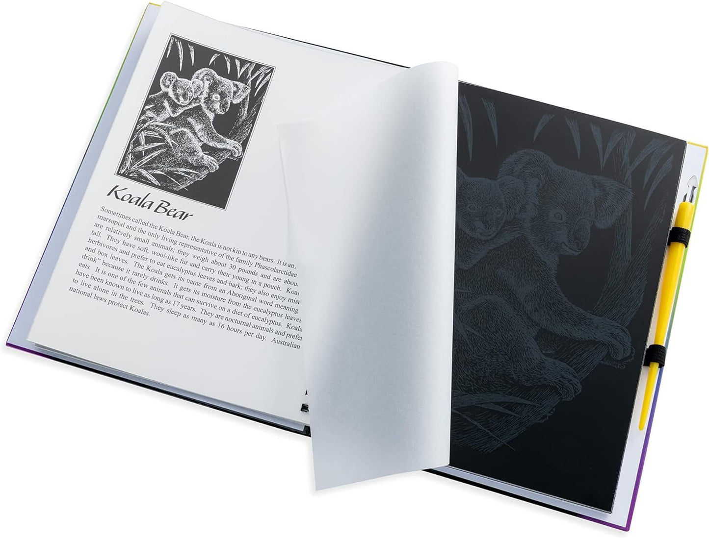 Royal and Langnickel Engraving Art Booklet