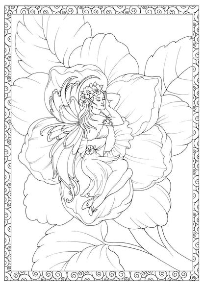 Adult Coloring Enchanted Fairies Coloring Book (Adult Coloring Books: Fantasy)