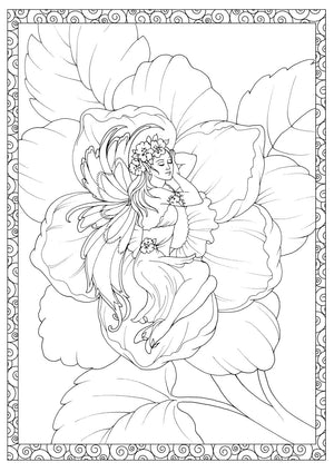 Adult Coloring Enchanted Fairies Coloring Book (Adult Coloring Books: Fantasy)