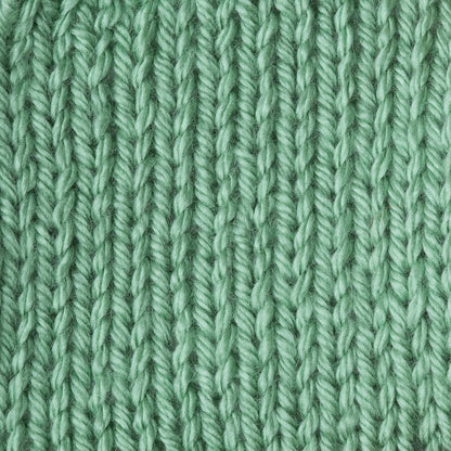 Caron Simply Soft Solids Yarn (4) Medium Gauge 100% Acrylic - 6 oz - Sage - Machine Wash & Dry