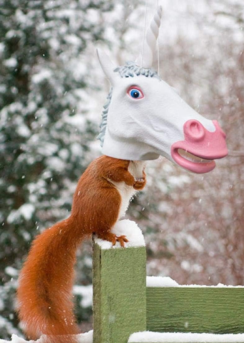 Mcphee Archie, Squirrel Feeder Unicorn Head