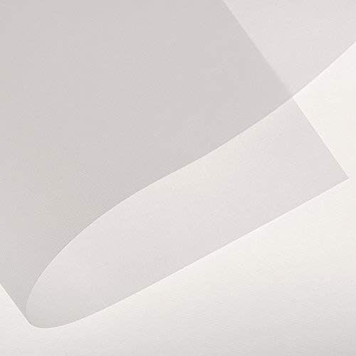 Canson Artist Series Tracing Paper, Roll, 18inx20yd (25lb/40g) - Artist Paper for Adults and Students