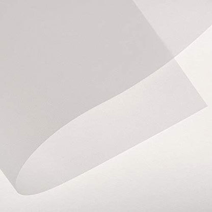 Canson Artist Series Tracing Paper, Roll, 18inx20yd (25lb/40g) - Artist Paper for Adults and Students