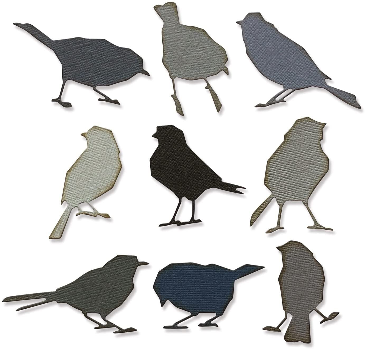 Sizzix Thinlits Die Set 9PK Silhouette Birds by Tim Holtz | 665861 |Chapter 2 2022, Multicolor