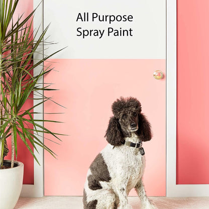 Krylon K05546007 COLORmaxx Spray Paint and Primer for Indoor/Outdoor Use