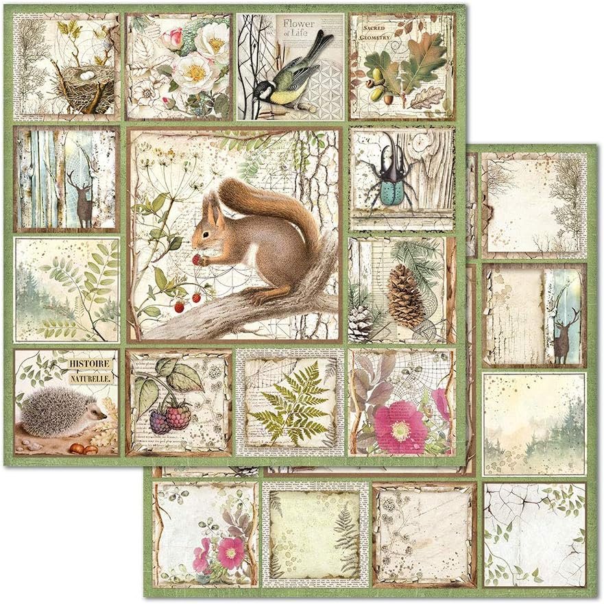 STAMPERIA INTERNATIONAL, KFT PAPER PAD 12X12 10PK FOREST, 30.5 x 30.5 (12" x 12"), Multicoloured