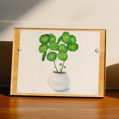 Lineco Acid Free Ivory Photo Corners 252 Pkg,1/2"