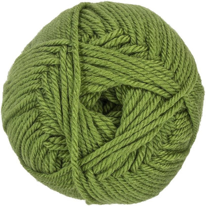 RED HEART Soft Yarn, Guacamole